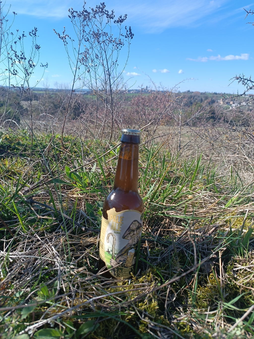 Bulle des champs Blonde Bio 33cl - Les Mousses du Rouergue